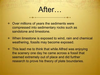 After…
 Over millions of years the sediments were
  compressed into sedimentary rocks such as
  sandstone and limestone.

 When limestone is exposed to wind, rain and chemical
  weathering, fossils may become exposed.

 This lead me to think that while Alfred was enjoying
  the scenery one day he came across a fossil that
  seemed extremely out of place and did further
  research to prove his theory of plate boundaries.
 