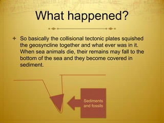 What happened?
 So basically the collisional tectonic plates squished
  the geosyncline together and what ever was in it.
  When sea animals die, their remains may fall to the
  bottom of the sea and they become covered in
  sediment.




                             Sediments
                             and fossils
 