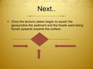 Next..
 Once the tectonic plates began to squish the
  geosyncline the sediment and the fossils were being
  forced upwards towards the surface
 