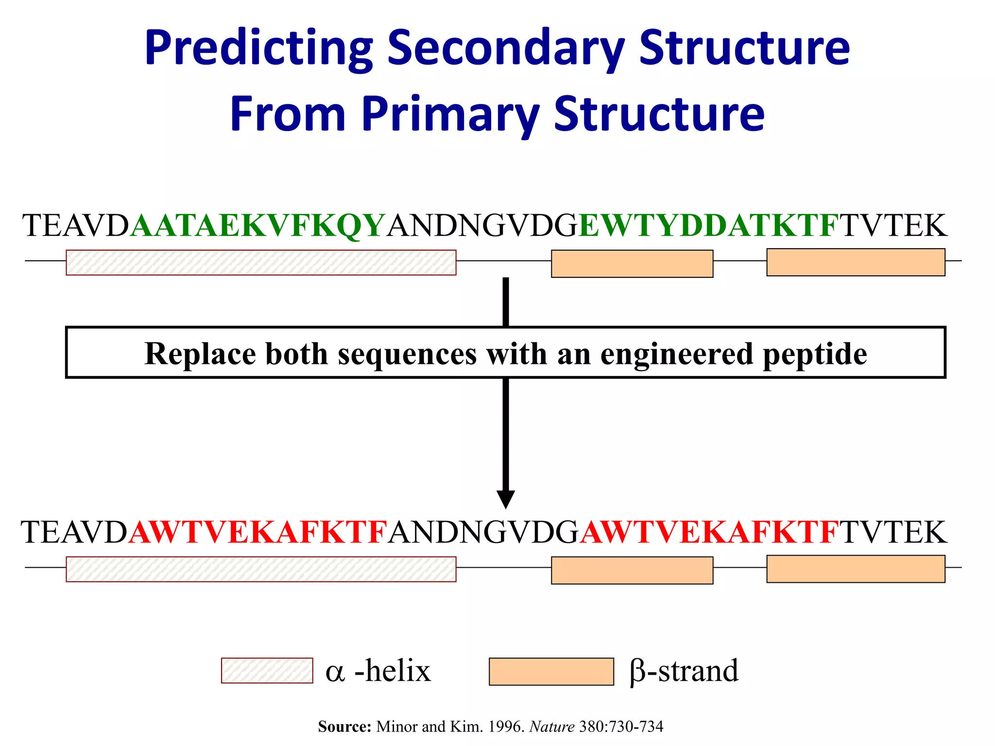 Predicting Secondary Structure
From Primary Structure
TEAVDAATAEKVFKQYANDNGVDGEWTYDDATKTFTVTEK
TEAVDAWTVEKAFKTFANDNGVDGAWTVEKAFKTFTVTEK
Replace both sequences with an engineered peptide
Source: Minor and Kim. 1996. Nature 380:730-734
a -helix b-strand
 