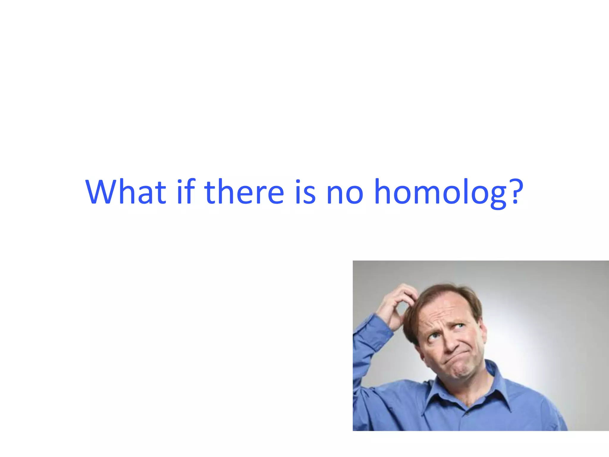 What if there is no homolog?
 