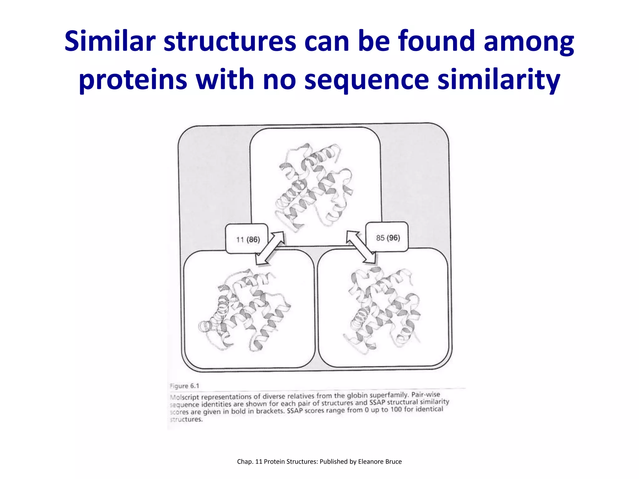 Similar structures can be found among
proteins with no sequence similarity
Chap. 11 Protein Structures: Published by Eleanore Bruce
 