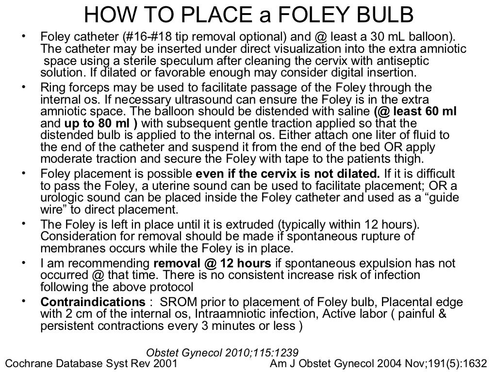 Foley bulb