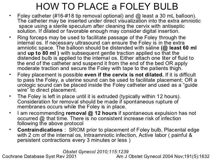 foley bulb foley bulb