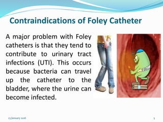 Contraindications of Foley Catheter
A major problem with Foley
catheters is that they tend to
contribute to urinary tract
infections (UTI). This occurs
because bacteria can travel
up the catheter to the
bladder, where the urine can
become infected.
23 January 2016 5
 