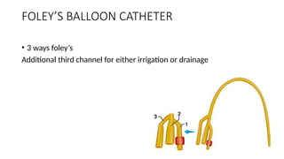 FOLEY urinarybladder CATHETERISATION.pptx
