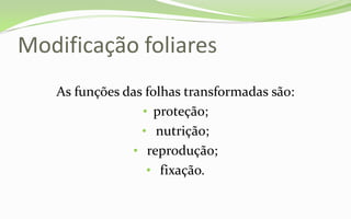 Modificação foliares
   As funções das folhas transformadas são:
                 • proteção;
                 • nutrição;
               • reprodução;
                  • fixação.
 