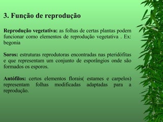 3. Função de reprodução Reprodução vegetativa:  as folhas de certas plantas podem funcionar como elementos   de reprodução vegetativa . Ex: begonia Soros:  estruturas reprodutoras encontradas nas pteridófitas e que representam um conjunto de esporângios onde são formados os esporos. Antófilos:  certos elementos florais( estames e carpelos) representam folhas modificadas adaptadas para a reprodução. 
