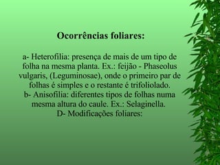 Ocorrências foliares: a- Heterofilia: presença de mais de um tipo de folha na mesma planta. Ex.: feijão - Phaseolus vulgaris, (Leguminosae), onde o primeiro par de folhas é simples e o restante é trifoliolado. b- Anisofilia: diferentes tipos de folhas numa mesma altura do caule. Ex.: Selaginella.  D- Modificações foliares: 