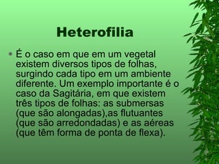 Heterofilia É o caso em que em um vegetal existem diversos tipos de folhas, surgindo cada tipo em um ambiente diferente. Um exemplo importante é o caso da Sagitária, em que existem três tipos de folhas: as submersas (que são alongadas),as flutuantes (que são arredondadas) e as aéreas (que têm forma de ponta de flexa). 