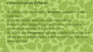 Características foliares:
As folhas são consideradas simples , quando o limbo é
indiviso.
Quando o limbo apresenta uma reentrância
pronunciada, chegando quase a formar duas partes é
chamado geminado. Ex.: pata-de-vaca
As folhas são compostas quando o limbo é formado por
várias partes denominadas folíolos, cada um com uma
gema na base.
 