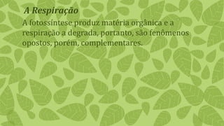 A fotossíntese produz matéria orgânica e a
respiração a degrada, portanto, são fenômenos
opostos, porém, complementares.
A Respiração
 