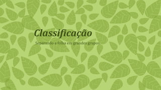 Classificação
Separando a folha em grandes grupos.
 
