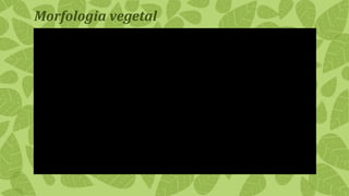 Morfologia vegetal
 