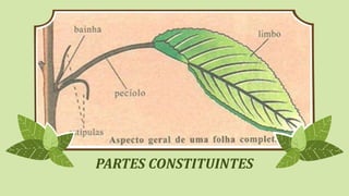 PARTES CONSTITUINTES
 