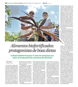6 FOLHA RURAL I FOLHA DE LONDRINA, SÁBADO E DOMINGO, 6 E 7 DE MAIO DE 2017 @folhadelondrina
TarcilaViana/Embrapa
Victor Lopes
Reportagem Local
Desde 2013, a Organização
das Nações Unidas para Ali-
mentaçãoeAgricultura(FAO)
reconhece a biofortificação
como uma das estratégias de
agricultura para sistemas ali-
mentares e melhoria de nu-
trição. Um processo de me-
lhoramento genético que re-
sulta em cultivares mais nu-
tritivas. O Brasil projetou a
importância disso e iniciou
os trabalhos há quase 15
anos. Agora, num momento
de alerta para a qualidade da
nutrição mundial, a tecnolo-
gia pode fazer toda a diferen-
ça nos resultados de dietas
mais consistentes.
A Rede Biofort é coordena-
da pela Embrapa e seu princi-
pal objetivo é o enriqueci-
mento de alimentos que já fa-
zem parte da dieta básica da
população brasileira. Hoje, o
País é o único do mundo tra-
balhando com oito alimentos
biofortificados, sendo 12 cul-
tivares, principalmente de fei-
jão, feijão-caupi, mandioca,
milho e batata doce. Existem
ainda trabalhos em fase de
melhoramento para abóbora,
arroz e trigo.
Biofortificação é uma inter-
venção nutricional específica,
com o objetivo de aumentar o
conteúdo de micronutrientes
em alimentos através do me-
lhoramento genético. Dife-
rentemente da fortificação de
alimentos, que ocorre duran-
te o processamento.
Além disso, a Embrapa faz
parte da HarvestPlus, uma
aliança mundial de institui-
ções de pesquisa e de entida-
des executoras que se uniram
para melhorar e disseminar
produtos agrícolas que con-
tribuam para uma melhor nu-
trição, com foco grande de
biofortificados na América
Latina e Caribe. “Sempre bus-
camos alimentos básicos,
porque são consumidos em
grandes quantidades. Traba-
lhamos para suprir os micro-
nutrientes deficientes em de-
terminada população. O pro-
jeto HarvestPus trabalha com
ferro, zinco e vitamina A”, ex-
plica a pesquisadora da Em-
brapa Agroindústria de Ali-
mentos e líder da Rede Bio-
fort, Marília Nutti, do Rio de
Janeiro (RJ).
Para atingir os resultados,
associando produtividade e
nutrição eficiente, foram
identificadasnobancodeger-
moplasma quais variedades
teriam melhor qualidade nu-
tricional e elas passaram a ser
cruzadas com variedades de
maior produtividade, resis-
tentes a pragas e uma série de
outras características. “Não
adianta ser uma variedade
produtiva e não tiver uma ex-
celente performance agrícola.
Trabalhamos junto com os
produtores, desde o melhora-
mento, para saber a aceitação
deles. Eles nos ajudaram a es-
colher as melhores cultivares,
além das unidades demons-
trativas (no Paraná há uma,
inclusive), dias de campo e
acompanhamento de aceita-
ção nas escolas e outros locais
de consumo”.
Entre 2012 e 2014, cerca de
2,5 mil famílias tiveram aces-
soaalimentosbiofortificados.
“Acreditamos que a diversifi-
cação é o ponto mais impor-
tante de uma boa alimenta-
ção. Sabemos, entretanto, que
existem casos que mesmo as-
sim não se atinge os índices
nutricionais necessários.
Em nenhum momento
pretendemos dizer
que a biofortifica-
ção pode ser usada
sozinha. É uma estratégia, in-
clusive, que em alguns países
vem depois da suplementa-
ção, como uma forma de
manter tais níveis de micro-
nutrientes mais altos”.
Pesquisas da Rede Biofort
juntoàuniversidadesjáapon-
tam que estes alimentos têm
micronutrientes necessários
para impactar na saúde da
população.“Nãoadiantafazer
tudoissoseosprodutoresnão
adotarem e as pessoas não
consumirem. Temos um tra-
balho muito grande de trans-
ferência de tecnologia, acesso
para receber e ver os resulta-
dos das variedades. No Mara-
nhão e no Piauí estabelece-
mosunidadesdemonstrativas
em escolas técnicas agrícolas.
Estudantes ficam 15 dias nas
escolas e 15 dias em casa. As-
sim, eles levam esse material
para suas residências e se tor-
nam multiplicadores”. Para
Marília, o maior resultado,
principalmente no Nordeste,
é a diminuição da evasão ru-
ral dos jovens estudantes gra-
ças a biofortificação.
O Brasil trabalha há quase 15 anos em pesquisas que
visam ao enriquecimento nutricional de alimentos
Alimentosbiofortificados:
protagonistasdeboasdietas
Alimentos básicos,Alimentos básicos,
consumidos emconsumidos em
grandes quantidadesgrandes quantidades
são o foco da pesquisasão o foco da pesquisa
da biofortificação;da biofortificação;
projeto HarvestPusprojeto HarvestPus
trabalha com ferro,trabalha com ferro,
zinco e vitamina Azinco e vitamina A
 