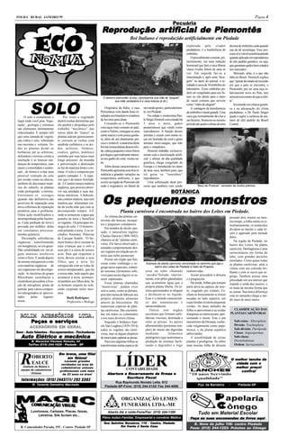 FOLHA RURAL JANEIRO 99                                                                                                                                                                               Página 4
                                                                                                                                 Pecuária
                                                                    Reprodução ar tificial de Piemontês
                                                                      produção artif
                                                                                  tificial
                                                                                             Boi Italiano é reproduzido artificialmente em Piedade
                                                                                                                                            explorada pelo criador              dezena de embriões cada quando
                                                                                                                                            piedadense, é a tranferência de     usa da tal tecnologia. Esse pro-
                                                                                                                                            embriões.                           cesso só é viável econômicamente
                                                                                                                                                O procedimento consiste, pri-   quando aplicado em reprodutores
                                                                                                                                            meiramente, em uma indução          de alto padrão genético, ou seja,
                                                                                                                                            hormonal que fará a vaca liberar    que garantam gados bem cotados
                                                                                                                                            vários óvulos férteis de uma só     nos mercados.
                                                                                                                                            vez. Em seguida faz-se a                Mercado, aliás, é o que não
                                                                                                                                            inseminação e, após uma “lava-      falta no Brasil. Homrich explica
                                                                                                                                            gem” no útero do animal, o re-      que “apesar do estado de recessão
                                                                                                                                            sultado é:cerca de 10 embriões no   em que o país se encontra, o
                                                                                                                                            laboratório. Esses embriões po-     Piemontês, por ser uma raça re-
                                                                                                                                            dem ser congelados para uso fu-     lativamente nova no País, tem
                                                                                                                                            turo ou vão direto para o útero     uma procura maior do que a ofer-




         SOLO
                                                                     O bezerro piemontês (à esq.) acompanha sua mãe de “aluguel”,
                                                                              sua mãe verdadeira é a vaca branca (à dir.).                  de vacas comuns que servem          ta”.
                                                                                                                                            como “mães de aluguel”.                 Investindo em ciência genéti-
                                                                       Originária da Itália, a raça      um modo geral e, particularmen-        A vantagem da transferencia     ca e na adequação do clima
                                                                   Piemontesa vem dando bons re-         te, em Piedade.                    de embriões é muito grande. Uma     piedadense, o Dr. Paulo Sérgio
     O solo é exatamente o           Por vezes a vegetação         sultados aos brasileiros criadores        Na cidade o zootecnista Pau-   vaca que normalmente dá a luz a     ajuda a suprir a carência de ani-
lugar onde você pisa. Vege-     destrói rochas duríssimas que      de bovinos para abate.                lo Sérgio Honrich vem criando há   um bezerro, fornecem no mesmo       mais de alto padrão do Brasil
tação , geologia e estrutura    ela quebra e despedaça pelo            Cruzando-se o Piemontês           5 anos e meio, gados               período até quatro coletas de uma   Central.
são elementos intimamente       trabalho “mecânico” das            com raças mais comuns no país,        pieamonteses que vende como
relacionados. É sempre útil     raízes além do “tranco” as         como o Nelore, consegue-se uma        reprodutores. A função desses
que uma camada de vegeta-       plantas atacam quimicamen-         carne macia e com pouca gordu-        animais é cruzar com outras ra-
ção cubra o solo, sobretudo     te corroem as rochas com           ra, além de um abatimento pre-        ças em fazendas de corte e gerar
nas encostas e colunas. To-     anidrido carbônico e os áci-       coce e rentável. a anatomia deste     animais meio-sangue, que irão
das as plantas desde as         dos acéticos, fórmico,             bovino (musculatura desenvolvi-       para o matadouro.
herbácias até as arbóreas,      oxálico, gálico, malônico          da, cabeça pequena e ossos finos)         Honrich trabalha exclusiva-
defendem o terreno contra a     emitidos por suas raízes num       privilegia o que realmente interes-   mente com a inseminação artifi-
insolação e as bruscas mu-      longo processo de moenda           sa nos gados de corte: muita car-     cial: o sêmen, de alta qualidade
danças de temperatura, suas     e pulverização a destruição        ne.                                   genética, chega congelado da
raízes o consolidam e susten-   se faz de maneira lenta e con-         Além dessas características o     Europa e é introduzido no útero
tam , de forma a evitar uma     tínua. O solo é composto por       Piemontês apresenta uma boa re-       de uma vaca, também pura, que
possível remoção do solo        quatro camadas: l- A supe-         sistência a grandes variações na      irá gerar os “tourinhos”
por erosão vento ou chuvas,     rior que é de maior fertilida-     temperatura ambiente, o que           reprodutores.
também do decompor maté-        de. 2-Contém menos matéria         ocorre na região de Piemonte (de          Uma sofisticação deste pro-
                                                                   onde é originário), no Brasil de      cesso que também vem sendo                 “Baco da Produsa”, vencedor de muitos prêmios.
rias do subsolo, as plantas     orgânica, que procura absor-
                                                                                                                               BOTÂNICA

                                                                    Os pequenos monstros
estão protegendo o terreno.     ver sua umidade e suas ma-
Entretanto os estragos          térias nutritivas. 3-Subsolo,
quando não definitivos,são      não contém matéria, mas tem
possíveis de reparação uma      matéria que alimentam vin-
nova cobertura de reparação     da da rocha mãe que está se
protetora sana o problema.      decompondo sempre. 4-É                              Planta carnívora é encontrada no bairro dos Leites em Piedade.
Outra ação modificadora e       onde se armazena a água que
                                                                      As vítimas das plantas car-                                                                               pousam dois insetos ao mes-
desempenhada pelas bactéri-     penetra na terra e beneficia
                                                                   nívoras são moscas, mosqui-                                                                                  mo tempo, a folha retém-os si-
as. Cada punhado de terra é     os vegetais . Os principais ini-
                                                                   tos e pequenos coleópteros.                                                                                  multaneamente, os tentáculos
povoado por milhões delas       migos do solo: l- O homem -
                                                                      Em meados do século pas-                                                                                  dividem as tarefas e cada in-
em constantes processa-         está pelando a terra. 2-os in-
                                                                   sado, o naturalista inglêes                                                                                  seto é agarrado pela metade
mentos químicos.                cêndios florestais .Palavras
                                                                   Charles Darwin (1809-1882)                                                                                   deles.
   Decompõe substâncias         do Cacique Seattle. “O ho-
                                                                   chamou-as de “plantas carní-                                                                                    Na região de Piedade, no
orgânicas , transformando       mem branco deve ensinar às
                                                                   voras. Ele havia observado o                                                                                 bairro dos Leites, há planta
em inorgânicas, ou em gases.    suas crianças que o solo a
                                                                   estranho comportamento des-                                                                                  carnívora. Darlingtonia-é uma
Dão solubilidade em em al-      seus pés é a cinza de nossos
                                                                   ses vegetais em relação aos in-                                                                              sarraceniácea em forma de
guns minerais insolúveis        avós. Para que respeitem a
                                                                   setos que neles pousavam.                                                                                    tubo, com grandes pecíolos
como o ferro. E ainda depois    terra, devem ensinar a seus
                                                                      Possui um órgão que fun-                                                                                  enrolados. Como quase todas
de mortas enriquecem o solo     filhos que a terra foi
                                                                   ciona como estômago e se-               Exemplo de planta carnívora, encontrada no caminho que liga o        as plantas carnívoras, atrai a
com matérias orgânicas de       enriquecida com as vidas de                                                      bairro dos Leites de Piedade à Salto de Pirapora.
                                                                   grega sucos especiais, conten-                                                                               vítima com seu colorido bri-
seu organismo em decompo-       nossos antepassados , que ela                                             urna ou tubo chamado              reabsorvidas.
                                                                   do enzimas (fermentos solú-                                                                                  lhante e com os sucos que se-
sição. As bactérias do grupo    é nossa mãe, tudo aquilo que                                              “ascidio”forrado, interior-           Assim procedem a drósera
                                                                   veis) para assim digerir os in-                                                                              grega. Tambem possui uma
Rhizobium, azotobacter e        acontecer à terra, acontece-                                              mente, com pêlos glandulares      e a pinguícula.
                                                                   setos capturados.                                                                                            pilosidade em seu interior que
clostridium procedem a fixa-    rá também aos filhos dela. Se                                             que acumulam água que a               Há ainda, folhas que tomam
                                                                      Essas plantas chamadas                                                                                    impede a saída dos insetos, e
ção de nitrogênio, ponto de     os homens cospem no solo,                                                 própria planta liberta. Os in-    parte ativa na captura do inse-
                                                                   “insetívoras”, podem viver                                                                                   os mata da mesma forma que
partida para vários compos-     estão cuspindo neles mes-                                                 setos aprisionados se afogam      to, reagindo por contato. Fe-
                                                                   sem a carne, como as demais,                                                                                 as outras. Sua única diferença
tos nitrogenados só aprovei-    mos.                                                                      e desfazem-se no líquido.         cham-se bruscamente se forem
                                                                   pois têm meios de fabricar seu                                                                               está no tamanho:chega a me-
tados      pelas     legumi-            Ruth Rodrigues                                                    Esse é o método característi-     tocadas no lado superior, em
                                                                   próprio alimento alimento                                                                                    dir mais de meio metro.
nosas.                                  Professora e Bióloga                                              co das nepentáceas e              cujas bordas existem pequenas
                                                                   através da fotossíntese. Há
                                                                   numerosas espécies de plan-            sarracenidáceas.                  cerdas. As duas metades da
                                                                   tas carnívoras. São encontra-             Outras tem órgãos              folha se aproximam e as cerdas            CLASSIFICAÇÃO DAS
                                                                   das em todos os continentes            secretores que formam subs-       marginais se entrecruzam, apri-         PLANTAS CARNÍVORAS
  ROLIM ACESSÓRIOS LTDA.                                           e nos mais diversos climas.            tâncias viscosas, destinada a     sionando o inseto. Este é um
          Peças e ser viços
                  serviços                                            Segundo o botânico fran-            reter as presas. As partes        mecanismo da Dionaea, conhe-             Sub-reino - Ebryophyta
                                                                                                                                                                                     Divisão: Trachiophyta
         ACESSÓRIOS EM GERAL                                       cês Van Lieghen (1839-1914)            albominóides (proteínas sim-      cida vulgarmente como papa-
                                                                                                                                                                                     Sub-divisão: Pterópsida
                                                                   todos os vegetais são carní-           ples) do inseto são digeridas     mosca, e da planta aquática
Som - Auto falantes - Escapamentos - Fechaduras                    voras, mas só alguns dispõem           mediante          fermentos       aldrovandra.                             Classe: Angiospermae
  Auto Elétrico e mecânica                                         de meios para capturar as presas.      peptógenos (que aumentam a            A sensibilidade de certas            Sub-classe:
          R. Marechal Floriano Peixoto, 44                            Para isso algumas folhas se         produção de enzimas facili-       plantas é prodigiosa. Se sobre           Dicotyledoniae
        Tel/Fax (015) 244-1629 - Piedade - SP                      transformam numa espécie de            tando a digestão) e logo          uma mesma folha de drósera               Ordem: Sarraceniales

                                Em breve, uma filial
                                   bre         filial

  R        OBERTO
           EALCE
   Instituto de Beleza e
  equipe de cabeleireiros
                                    em Ibiúna!
                                    Levando grandes
                                  novidades na área de
                                  cabeleireiros unissex
                                 profissionais com mais
                                                                                LÍDER    CONTABILIDADE
                                                                                                                                                                                    O melhor lanche da
                                                                                                                                                                                             lanche
                                                                                                                                                                                      cidade com o
                                                                                                                                                                                              preço!
                                                                                                                                                                                      melhor preço!
                                                                                                                                                                                         confir
                                                                                                                                                                                              ira!
                                                                                                                                                                                         confir a!
          Unissex                  de 23 anos na área!                 Aber tura e Encer ramento de fir mas e
                                                                       Abertur
                                                                            tura    Encerr              fir
                                                                                                         irmas
                                                                                   Escritura
                                                                                   Escritura Fiscal
  Informações: (015) 2443771/ 292 3302
                                                                            Rua Raymundo Nonato Leite, 612
           R. Tenente Demétrio Machado                                Piedade-SP-Fone: (015) 244-3122/ Fax 244-4086                                  Pça. da Bandeira           -      Piedade-SP



                                                                                     ORGANIZAÇÃO LEMES
                                                                                     FUNERÁRIA LTDA.-ME
          Luminosos, Cartazes, Placas, faixas,                           Aberto dia e noite-Fone/Fax: (015) 244-1390
              Letreiros, Silk Screen etc...
                                                                                                                                                     Tudo em Material Escolar
                                                                    Plano mútuo Familiar, Empresarial e convênio Médico                        Faça as suas encomendas de livros aqui
                                                                                                                                                                          livr
                                                                                                                                                                            vros
                                                                     Rua Quintino Bocaiuva, 115 - Centro, Piedade
                                                                                  Bocaiuva,       Centro                                           Nov                centro
                                                                                                                                                R. Nove de julho 106- centro Piedade
                                                                                   frente
                                                                               Em frente à Santa Casa
  R. Comendador Parada, 192 - Centro- Piedade-SP                                                                                                                                Côneg
                                                                                                                                              Fone: (015) 244-1223- Próximo ao Cônego
 