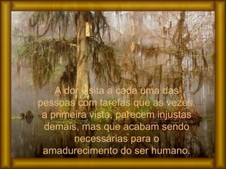 A dor visita a cada uma das
pessoas com tarefas que as vezes,
a primeira vista, parecem injustas
demais, mas que acabam sendo
necessárias para o
amadurecimento do ser humano.
 