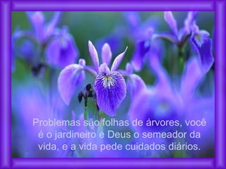 Problemas são folhas de árvores, você
é o jardineiro e Deus o semeador da
vida, e a vida pede cuidados diários.
 