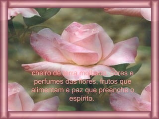 cheiro de terra molhada, cores e
perfumes das flores, frutos que
alimentam e paz que preenche o
espírito.
 
