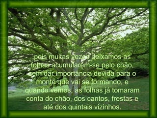 pois muitas vezes deixamos as
folhas acumularem-se pelo chão,
sem dar importância devida para o
monte que vai se formando, e
quando vemos, as folhas já tomaram
conta do chão, dos cantos, frestas e
até dos quintais vizinhos.
 