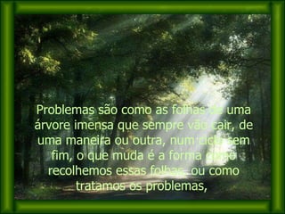 Problemas são como as folhas de uma árvore imensa que sempre vão cair, de uma maneira ou outra, num ciclo sem fim, o que muda é a forma como recolhemos essas folhas, ou como tratamos os problemas,  