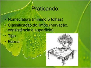 Praticando:
• Nomeclatura (mínimo 5 folhas)
• Classificação do limbo (nervação,
  consistência e superfície)
• Tipo
• Forma
 