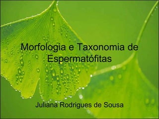Morfologia e Taxonomia de
      Espermatófitas



   Juliana Rodrigues de Sousa
 