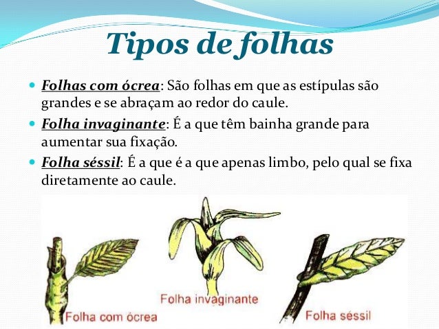 Qual a importância da ludicidade no ensino aprendizagem? Qual a importância da ludicidade no ensino aprendizagem?