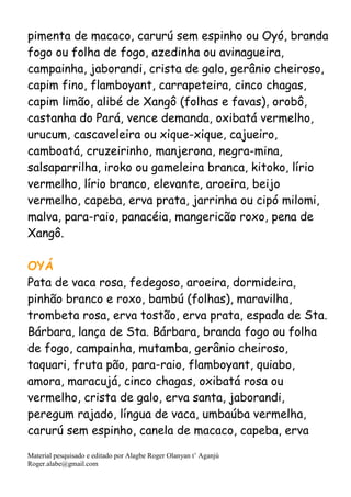 Material pesquisado e editado por Alagbe Roger Olanyan t’ Aganjú
Roger.alabe@gmail.com
pimenta de macaco, carurú sem espinho ou Oyó, branda
fogo ou folha de fogo, azedinha ou avinagueira,
campainha, jaborandi, crista de galo, gerânio cheiroso,
capim fino, flamboyant, carrapeteira, cinco chagas,
capim limão, alibé de Xangô (folhas e favas), orobô,
castanha do Pará, vence demanda, oxibatá vermelho,
urucum, cascaveleira ou xique-xique, cajueiro,
camboatá, cruzeirinho, manjerona, negra-mina,
salsaparrilha, iroko ou gameleira branca, kitoko, lírio
vermelho, lírio branco, elevante, aroeira, beijo
vermelho, capeba, erva prata, jarrinha ou cipó milomi,
malva, para-raio, panacéia, mangericão roxo, pena de
Xangô.
OYÁ
Pata de vaca rosa, fedegoso, aroeira, dormideira,
pinhão branco e roxo, bambú (folhas), maravilha,
trombeta rosa, erva tostão, erva prata, espada de Sta.
Bárbara, lança de Sta. Bárbara, branda fogo ou folha
de fogo, campainha, mutamba, gerânio cheiroso,
taquari, fruta pão, para-raio, flamboyant, quiabo,
amora, maracujá, cinco chagas, oxibatá rosa ou
vermelho, crista de galo, erva santa, jaborandi,
peregum rajado, língua de vaca, umbaúba vermelha,
carurú sem espinho, canela de macaco, capeba, erva
 