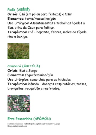 Material pesquisado e editado por Alagbe Roger Olanyan t’ Aganjú
Roger.alabe@gmail.com
Picão (ABÉRÉ)
Orisás: Esú (em pó ou para feitiços) e Osun
Elementos: terra/masculino/gùn
Uso Litúrgico: Assentamentos e trabalhos ligados a
Esù, atins de Osun para feitiço.
Terapêutica: chá – hepatite, febres, males do fígado,
rins e bexiga.
Cambará (ÁBITÓLÁ)
Orisás: Esú e Sango
Elementos: fogo/feminino/gùn
Uso Litúrgico: como chás para os iniciados
Terapêutica: infusão – doenças respiratórias, tosses,
bronquites, rouquidão e resfriados.
Erva Passarinho (ÀFÒMÓN)
 