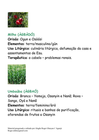 Material pesquisado e editado por Alagbe Roger Olanyan t’ Aganjú
Roger.alabe@gmail.com
Milho (ÀGBÀDÓ)
Orisás: Ogun e Osòósi
Elementos: terra/masculino/gùn
Uso Litúrgico: culinária litúrgica, defumação da casa e
assentamentos de Esu.
Terapêutica: o cabelo – problemas renais.
Umbaúba (ÀGBAÓ)
Orisás: Branca – Yemoja, Osanyin e Nanã; Roxa –
Sango, Oyá e Nanã
Elementos: terra/feminino/èrò
Uso Litúrgico: rituais e banhos de purificação,
oferendas de frutos a Osanyin
 