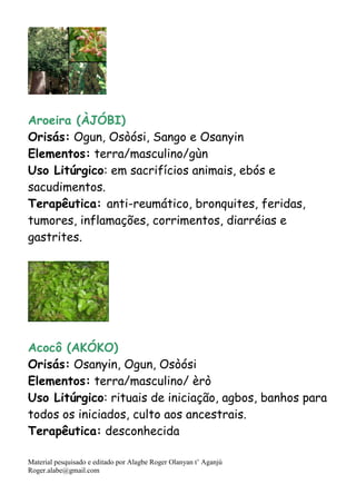 Material pesquisado e editado por Alagbe Roger Olanyan t’ Aganjú
Roger.alabe@gmail.com
Aroeira (ÀJÓBI)
Orisás: Ogun, Osòósi, Sango e Osanyin
Elementos: terra/masculino/gùn
Uso Litúrgico: em sacrifícios animais, ebós e
sacudimentos.
Terapêutica: anti-reumático, bronquites, feridas,
tumores, inflamações, corrimentos, diarréias e
gastrites.
Acocô (AKÓKO)
Orisás: Osanyin, Ogun, Osòósi
Elementos: terra/masculino/ èrò
Uso Litúrgico: rituais de iniciação, agbos, banhos para
todos os iniciados, culto aos ancestrais.
Terapêutica: desconhecida
 