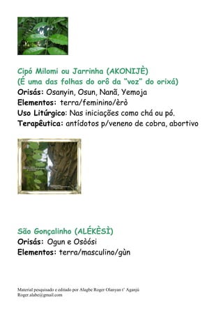 Material pesquisado e editado por Alagbe Roger Olanyan t’ Aganjú
Roger.alabe@gmail.com
Cipó Milomi ou Jarrinha (AKONIJÈ)
(É uma das folhas do orô da “voz” do orixá)
Orisás: Osanyin, Osun, Nanã, Yemoja
Elementos: terra/feminino/èrò
Uso Litúrgico: Nas iniciações como chá ou pó.
Terapêutica: antídotos p/veneno de cobra, abortivo
São Gonçalinho (ALÉKÈSÌ)
Orisás: Ogun e Osòósi
Elementos: terra/masculino/gùn
 