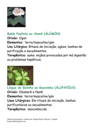 Material pesquisado e editado por Alagbe Roger Olanyan t’ Aganjú
Roger.alabe@gmail.com
Boldo Paulista ou Alumã (ÀLÚMÓN)
Orisás: Ogun
Elementos: terra/masculino/gùn
Uso Litúrgico: Rituais de iniciação, agbos, banhos de
purificação e sacudimentos.
Terapêutica: sumo: enjôos provocados por má digestão
ou problemas hepáticos.
Língua de Galinha ou Guaximba (ÀLÙPÀYÍDÀ)
Orisás: Osumaré e Nanã
Elementos: terra/masculino/gùn
Usos Litúrgicos: Em rituais de iniciação, banhos
purificatóeios ou sacudimentos.
Terapêutica: desconhecida
 