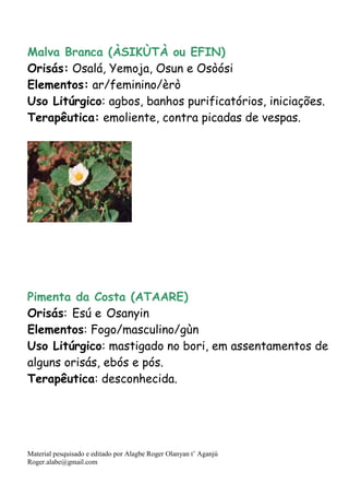 Material pesquisado e editado por Alagbe Roger Olanyan t’ Aganjú
Roger.alabe@gmail.com
Malva Branca (ÀSIKÙTÀ ou EFIN)
Orisás: Osalá, Yemoja, Osun e Osòósi
Elementos: ar/feminino/èrò
Uso Litúrgico: agbos, banhos purificatórios, iniciações.
Terapêutica: emoliente, contra picadas de vespas.
Pimenta da Costa (ATAARE)
Orisás: Esú e Osanyin
Elementos: Fogo/masculino/gùn
Uso Litúrgico: mastigado no bori, em assentamentos de
alguns orisás, ebós e pós.
Terapêutica: desconhecida.
 
