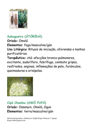 Material pesquisado e editado por Alagbe Roger Olanyan t’ Aganjú
Roger.alabe@gmail.com
Sabugueiro (ÀTÒRÌNÀ)
Orisás: Omolú
Elementos: fogo/masculino/gùn
Uso Litúrgico: Rituais de iniciação, oferendas e banhos
purificatórios.
Terapêutica: chá: afecções bronco-pulmonares,
excitante, sudorífero, febrífugo, combate gripes,
resfriados, anginas, inflamações de pele, furúnculos,
queimaduras e erisipelas.
Cipó Chumbo (AWÓ PUPÁ)
Orisás: Ossanyin, Omolú, Ogun
Elementos: terra/masculino/gùn
 