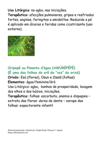 Material pesquisado e editado por Alagbe Roger Olanyan t’ Aganjú
Roger.alabe@gmail.com
Uso Litúrgico: no agbo, nas iniciações.
Terapêutica: afecções pulmonares, gripes e resfriados
fortes, anginas, faringites e amidalites. Reduzido a pó
é aplicado em úlceras e feridas como cicatrizante (uso
externo).
Oripepê ou Pimenta d’água (AWÙRÉPÉPÉ)
(É uma das folhas do orô da “voz” do orixá)
Orisás: Esú (flores), Osun e Osalá (folhas)
Elementos: água/feminino/èrò
Uso Litúrgico: agbo, banhos de prosperidade, lavagem
dos olhos e dos búzios, iniciações.
Terapêutica: folhas: escorbuto, anemia e dispepsia –
extrato das flores: dores de dente – xarope das
folhas: expectorante infantil
 