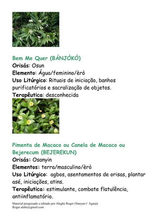 Material pesquisado e editado por Alagbe Roger Olanyan t’ Aganjú
Roger.alabe@gmail.com
Bem Me Quer (BÁNJÓKÓ)
Orisás: Osun
Elemento: Água/feminino/èrò
Uso Litúrgico: Rituais de iniciação, banhos
purificatórios e sacralização de objetos.
Terapêutica: desconhecida
Pimenta de Macaco ou Canela de Macaco ou
Bejerecum (BEJEREKUN)
Orisás: Osanyin
Elementos: terra/masculino/èrò
Uso Litúrgico: agbos, asentamentos de orisas, plantar
asé, iniciações, atins.
Terapêutica: estimulante, combate flatulência,
antiinflamatório.
 