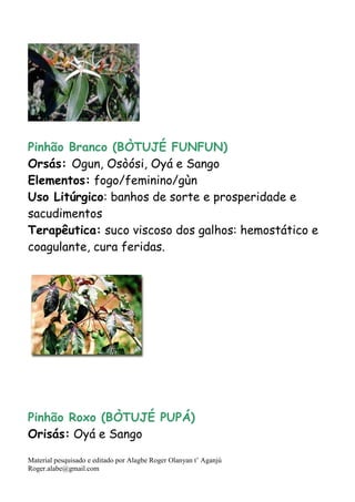 Material pesquisado e editado por Alagbe Roger Olanyan t’ Aganjú
Roger.alabe@gmail.com
Pinhão Branco (BÒTUJÉ FUNFUN)
Orsás: Ogun, Osòósi, Oyá e Sango
Elementos: fogo/feminino/gùn
Uso Litúrgico: banhos de sorte e prosperidade e
sacudimentos
Terapêutica: suco viscoso dos galhos: hemostático e
coagulante, cura feridas.
Pinhão Roxo (BÒTUJÉ PUPÁ)
Orisás: Oyá e Sango
 
