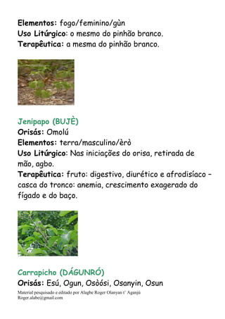 Material pesquisado e editado por Alagbe Roger Olanyan t’ Aganjú
Roger.alabe@gmail.com
Elementos: fogo/feminino/gùn
Uso Litúrgico: o mesmo do pinhão branco.
Terapêutica: a mesma do pinhão branco.
Jenipapo (BUJÈ)
Orisás: Omolú
Elementos: terra/masculino/èrò
Uso Litúrgico: Nas iniciações do orisa, retirada de
mão, agbo.
Terapêutica: fruto: digestivo, diurético e afrodisíaco –
casca do tronco: anemia, crescimento exagerado do
fígado e do baço.
Carrapicho (DÁGUNRÓ)
Orisás: Esú, Ogun, Osòósi, Osanyin, Osun
 