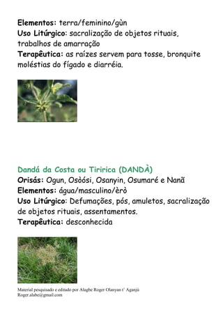 Material pesquisado e editado por Alagbe Roger Olanyan t’ Aganjú
Roger.alabe@gmail.com
Elementos: terra/feminino/gùn
Uso Litúrgico: sacralização de objetos rituais,
trabalhos de amarração
Terapêutica: as raízes servem para tosse, bronquite
moléstias do fígado e diarréia.
Dandá da Costa ou Tiririca (DANDÀ)
Orisás: Ogun, Osòósi, Osanyin, Osumaré e Nanã
Elementos: água/masculino/èrò
Uso Litúrgico: Defumações, pós, amuletos, sacralização
de objetos rituais, assentamentos.
Terapêutica: desconhecida
 