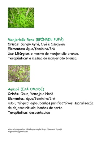 Material pesquisado e editado por Alagbe Roger Olanyan t’ Aganjú
Roger.alabe@gmail.com
Manjericão Roxo (EFÍNRIN PUPÁ)
Orisás: Sangô/Ayrá, Oyá e Osogyian
Elementos: água/feminino/èrò
Uso Litúrgico: o mesmo do manjericão branco.
Terapêutica: a mesma do manjericão branco.
Aguapé (EJÀ OMODÉ)
Orisás: Osun, Yemoja e Nanã
Elementos: água/feminino/èrò
Uso Litúrgico: agbo, banhos purificatórios, sacralização
de objetos rituais, banhos de sorte.
Terapêutica: desconhecida
 