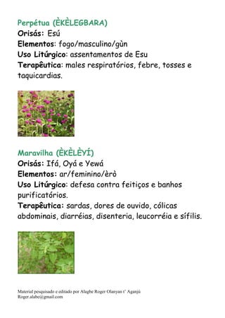 Material pesquisado e editado por Alagbe Roger Olanyan t’ Aganjú
Roger.alabe@gmail.com
Perpétua (ÈKÈLEGBARA)
Orisás: Esú
Elementos: fogo/masculino/gùn
Uso Litúrgico: assentamentos de Esu
Terapêutica: males respiratórios, febre, tosses e
taquicardias.
Maravilha (ÈKÈLÈYÍ)
Orisás: Ifá, Oyá e Yewá
Elementos: ar/feminino/èrò
Uso Litúrgico: defesa contra feitiços e banhos
purificatórios.
Terapêutica: sardas, dores de ouvido, cólicas
abdominais, diarréias, disenteria, leucorréia e sífilis.
 