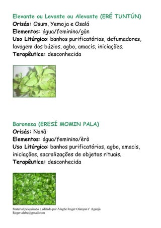 Material pesquisado e editado por Alagbe Roger Olanyan t’ Aganjú
Roger.alabe@gmail.com
Elevante ou Levante ou Alevante (ERÉ TUNTÚN)
Orisás: Osum, Yemoja e Osalá
Elementos: água/feminino/gùn
Uso Litúrgico: banhos purificatórios, defumadores,
lavagem dos búzios, agbo, amacis, iniciações.
Terapêutica: desconhecida
Baronesa (ERESÍ MOMIN PALA)
Orisás: Nanã
Elementos: água/feminino/èrò
Uso Litúrgico: banhos purificatórios, agbo, amacis,
iniciações, sacralizações de objetos rituais.
Terapêutica: desconhecida
 