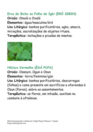 Material pesquisado e editado por Alagbe Roger Olanyan t’ Aganjú
Roger.alabe@gmail.com
Erva de Bicho ou Folha de Igbi (ERÓ IGBIN)
Orisás: Omolú e Oxalá
Elementos: água/masculino/èrò
Uso Litúrgico: banhos purificatórios, agbo, amacis,
iniciações, sacralizações de objetos rituais.
Terapêutica: inchações e picadas de insetos.
Hibisco Vermelho (ÈSÁ PUPA)
Orisás: Osanyin, Ogun e Osun
Elementos: terra/feminino/gùn
Uso Litúrgico: banhos purificatórios, descarregos
(folhas) e como presente em sacrifícios e oferendas à
Osun (flores), sobre os assentamentos.
Terapêutica: as flores, em infusão, auxiliam no
combate à oftalmias.
 