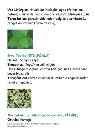 Material pesquisado e editado por Alagbe Roger Olanyan t’ Aganjú
Roger.alabe@gmail.com
Uso Litúrgico: rituais de iniciação, agbo (folhas em
natura) - fumo de rolo como oferendas a Osanyin e Esu.
Terapêutica: parasiticida, odontoalgias e combate às
pragas da lavoura (fumo de rolo).
Erva Tostão (ÉTINPÓNLÁ)
Orisás: Sangô e Oyá
Elementos: fogo/masculino/gùn
Uso Litúrgico: Agbos, contra feitiços, nos rituais para
ancestrais, pós.
Terapêutica: raízes c/vinho: diurético e regularizador
renal e hepático.
Maricotinha ou Alfavaca de cobra (ETÍTÁRÉ)
Orixás: Yemoja
 