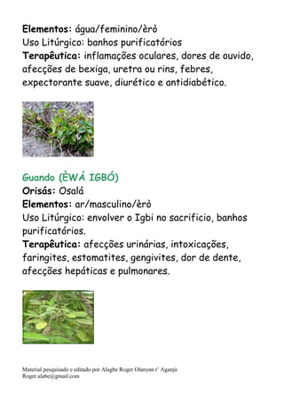 Material pesquisado e editado por Alagbe Roger Olanyan t’ Aganjú
Roger.alabe@gmail.com
Elementos: água/feminino/èrò
Uso Litúrgico: banhos purificatórios
Terapêutica: inflamações oculares, dores de ouvido,
afecções de bexiga, uretra ou rins, febres,
expectorante suave, diurético e antidiabético.
Guando (ÈWÁ IGBÓ)
Orisás: Osalá
Elementos: ar/masculino/èrò
Uso Litúrgico: envolver o Igbi no sacrificio, banhos
purificatórios.
Terapêutica: afecções urinárias, intoxicações,
faringites, estomatites, gengivites, dor de dente,
afecções hepáticas e pulmonares.
 