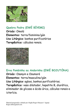 Material pesquisado e editado por Alagbe Roger Olanyan t’ Aganjú
Roger.alabe@gmail.com
Quebra Pedra (EWÉ BÍYEMI)
Orisás: Omolú
Elementos: terra/feminino/gùn
Uso Litúrgico: banhos purificatórios
Terapêutica: cálculos renais.
Erva Pombinha ou Andorinha (EWÉ BOJUTÒNA)
Orisás: Osanyin e Osumaré
Elementos: terra/masculino/gùn
Uso Litúrgico: agbos, banhos purificatórios.
Terapêutica: vaso dilatador, hepatite B, diurético,
eliminador de glicose e ácido úrico, cálculos renais e
icterícia.
 