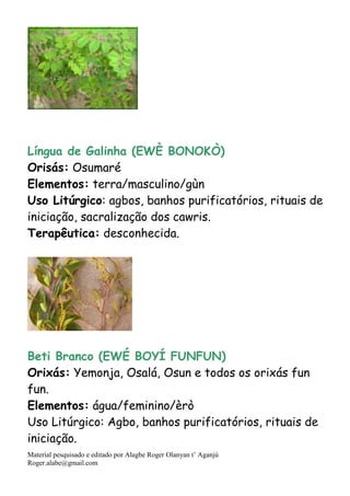Material pesquisado e editado por Alagbe Roger Olanyan t’ Aganjú
Roger.alabe@gmail.com
Língua de Galinha (EWÈ BONOKÒ)
Orisás: Osumaré
Elementos: terra/masculino/gùn
Uso Litúrgico: agbos, banhos purificatórios, rituais de
iniciação, sacralização dos cawris.
Terapêutica: desconhecida.
Beti Branco (EWÉ BOYÍ FUNFUN)
Orixás: Yemonja, Osalá, Osun e todos os orixás fun
fun.
Elementos: água/feminino/èrò
Uso Litúrgico: Agbo, banhos purificatórios, rituais de
iniciação.
 